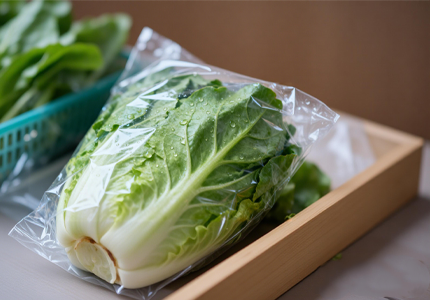 Agriculture Industry